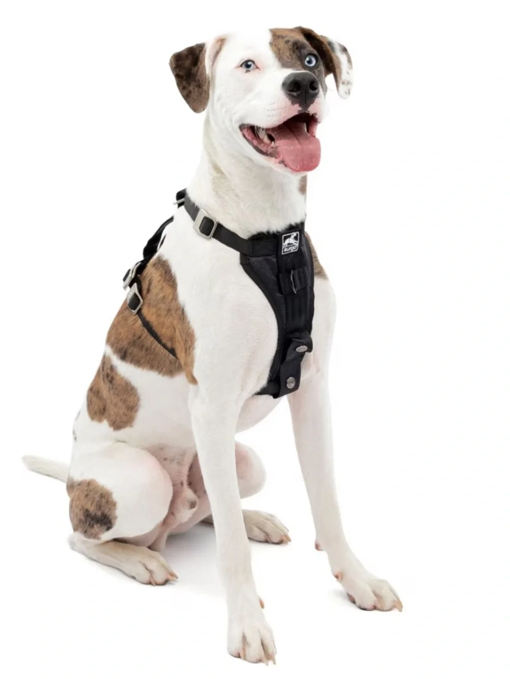 Kurgo Tru-Fit Enhanced Strength Crash Tested Smart Car Dog Harness, MED, unused!
